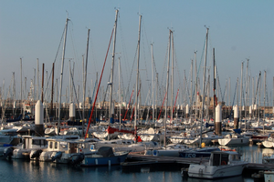 Vétérinaire de garde Le Havre